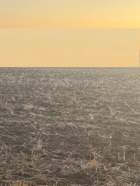 Branesti vand teren intravilan 2.500 mp, pret 70 euro/ mp