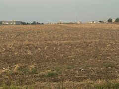 Branesti, vand teren intravilan, 2.500 mp, pret 70 euro/mp