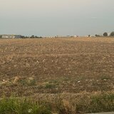 Branesti, vand teren intravilan 2500 mp, pret 70 euro/mp